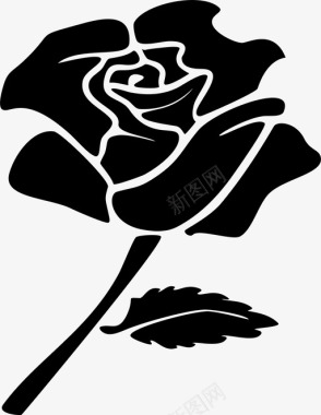 玫瑰美丽花朵图标图标