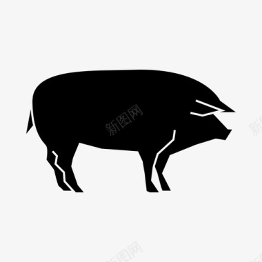 猪公猪农场动物图标图标