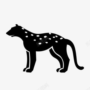 猎豹非洲大猫图标图标