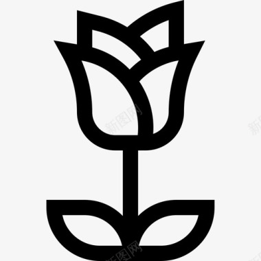 蔷薇花和植物线形图标图标