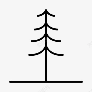 松树植物学环境图标图标