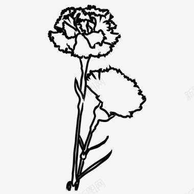 手绘熊康乃馨花自然图标图标