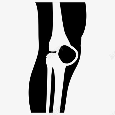 膝关节解剖检查x线图标图标