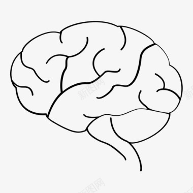 人脑轮廓器官图标图标