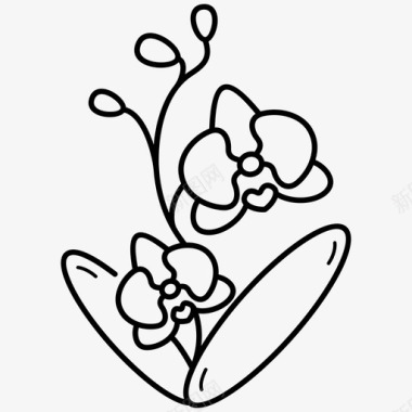 兰花开花植物性图标图标