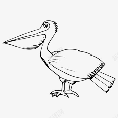 鸟眼鹈鹕鸟自然图标图标