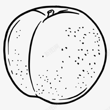 李子杏子水果图标图标