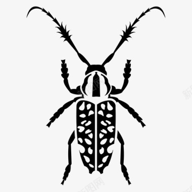 常见丛生长角甲虫普通丛生长角甲虫小虫图标图标