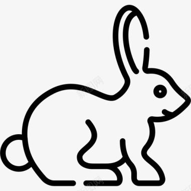 兔子宠物店53直系图标图标