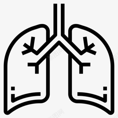 器官肺解剖学人类图标图标