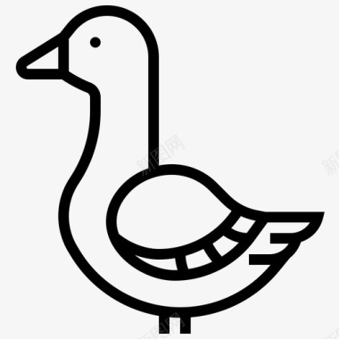 鸭鹅动物鸟图标图标