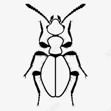 虫蚁形花甲虫蚁花甲虫虫图标图标