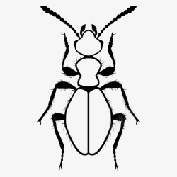 虫形蚁形花甲虫蚁花甲虫虫图标高清图片