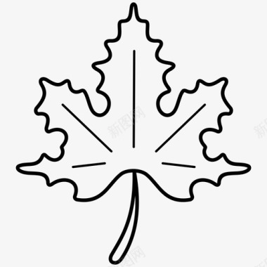 秋叶秋叶加拿大枫叶图标图标