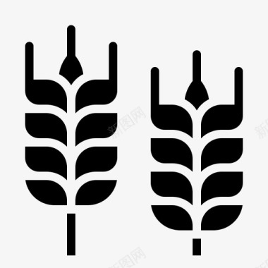 树枝小麦大麦树枝图标图标