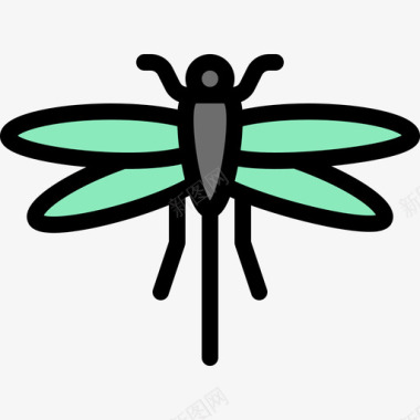 蜻蜓昆虫12线状颜色图标图标