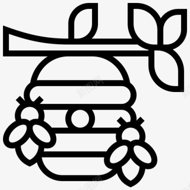 蜂巢蜂房蜜蜂图标图标