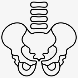 生理学人体骨盆解剖学脊柱图标高清图片