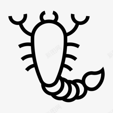 蝎子占星术昆虫图标图标