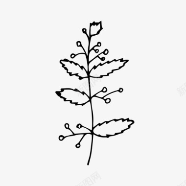 自然生长的植物植物树枝花图标图标
