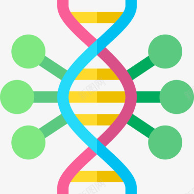 生物工程2基因组图标图标