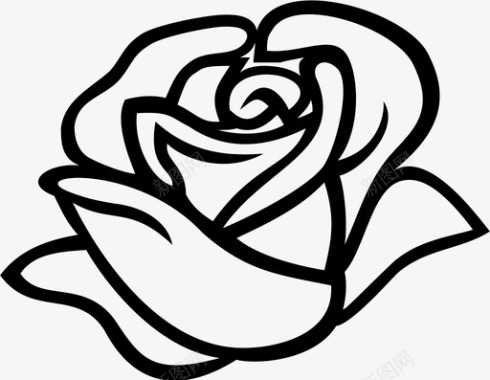 玫瑰玫瑰盛开的花图标图标