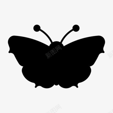 孔雀蝶动物蝴蝶种类图标图标