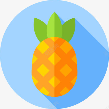 菠萝特写菠萝澳大利亚20平的图标图标