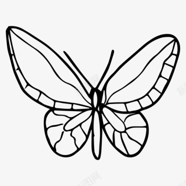 矢量蝴蝶蝴蝶自然素描图标图标