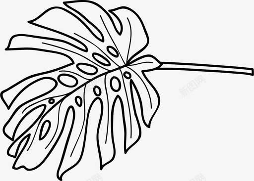 凤尾蕨带茎叶生态系统生态学森林植物图标图标