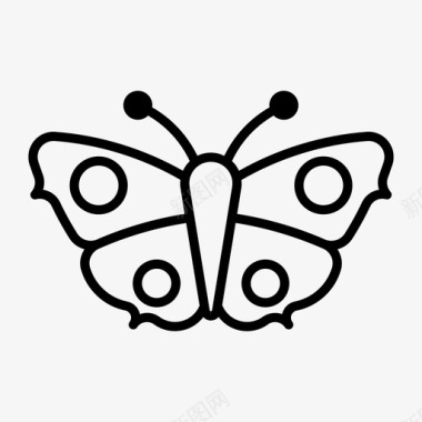 飞舞孔雀蝶动物蝴蝶纹身图标图标