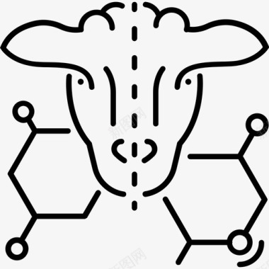 绵羊图片绵羊克隆基因组图标图标