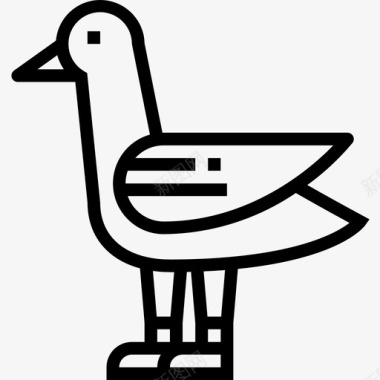 五一鸽子鸽子复活节57直系图标图标