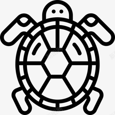 海龟海洋生物25直系图标图标