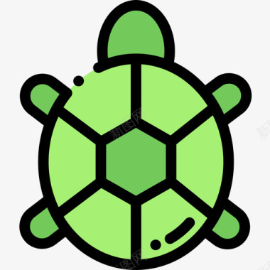 龟自然69线形颜色图标图标
