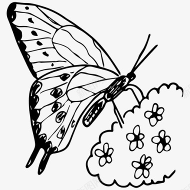 蝴蝶自然素描图标图标