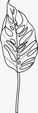 带水珠的绿叶monstera瑞士奶酪植物带茎叶带茎叶monstera植物图标图标