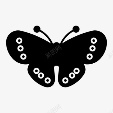 翅膀皮埃蒙特环动物蝴蝶图标图标