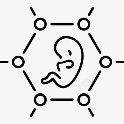 选择科学基因工程胎儿研究图标高清图片