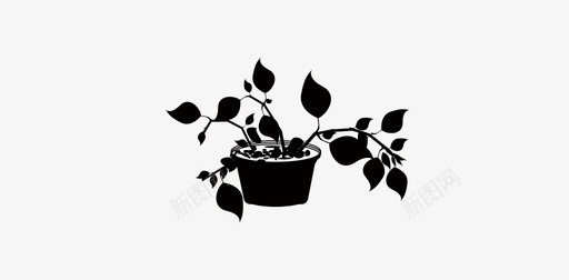 绿萝花   植物   盆栽图标