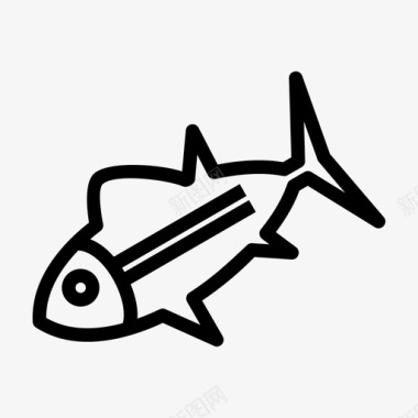 新鲜的金枪鱼鱼食物图标图标
