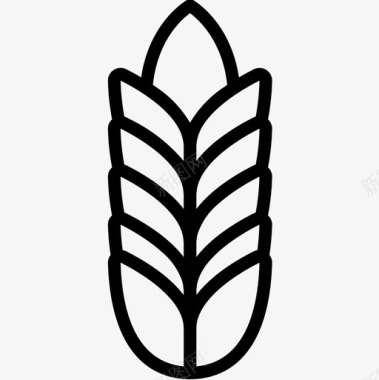 小麦植物学直系图标图标