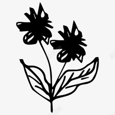 花枝植物图标图标