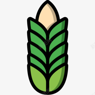 小麦植物学5线性颜色图标图标