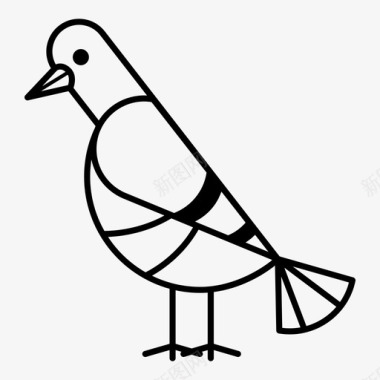 五一鸽子鸽子动物鸟图标图标