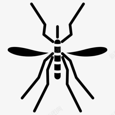蚊子虫子昆虫图标图标