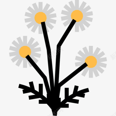 洋甘菊草本植物2线状颜色图标图标