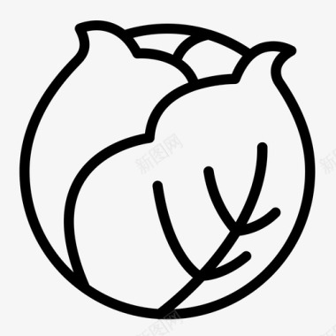 卷心菜作物十字花科图标图标