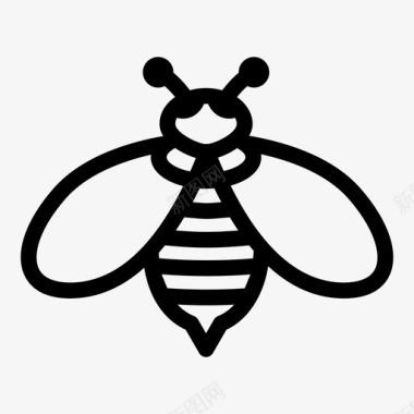 虫子蜜蜂动物甲虫图标图标