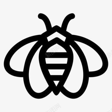 蜂蜜蜜蜂蜂蜜昆虫图标图标